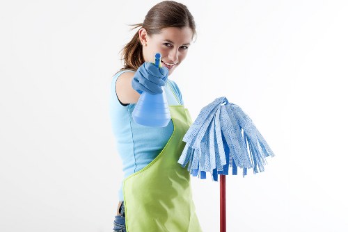 Carpet cleaning service for a Wandsworth home with professional equipment