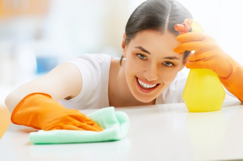 Local oven cleaning appointment in Wandsworth for domestic appliances