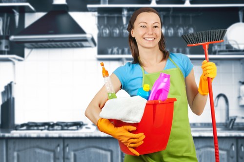 Professional window cleaning service for homes and flats in Wandsworth